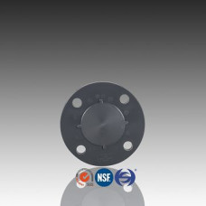 UPVC SCH80 Blind Flange,TS Flange